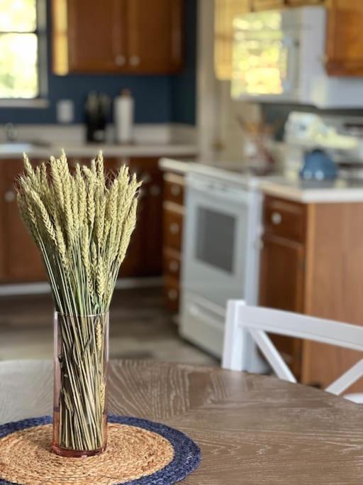 Charming House In Family Friendly Quiet Location Close To Wilderness *